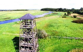 Wieża nad Biebrzą